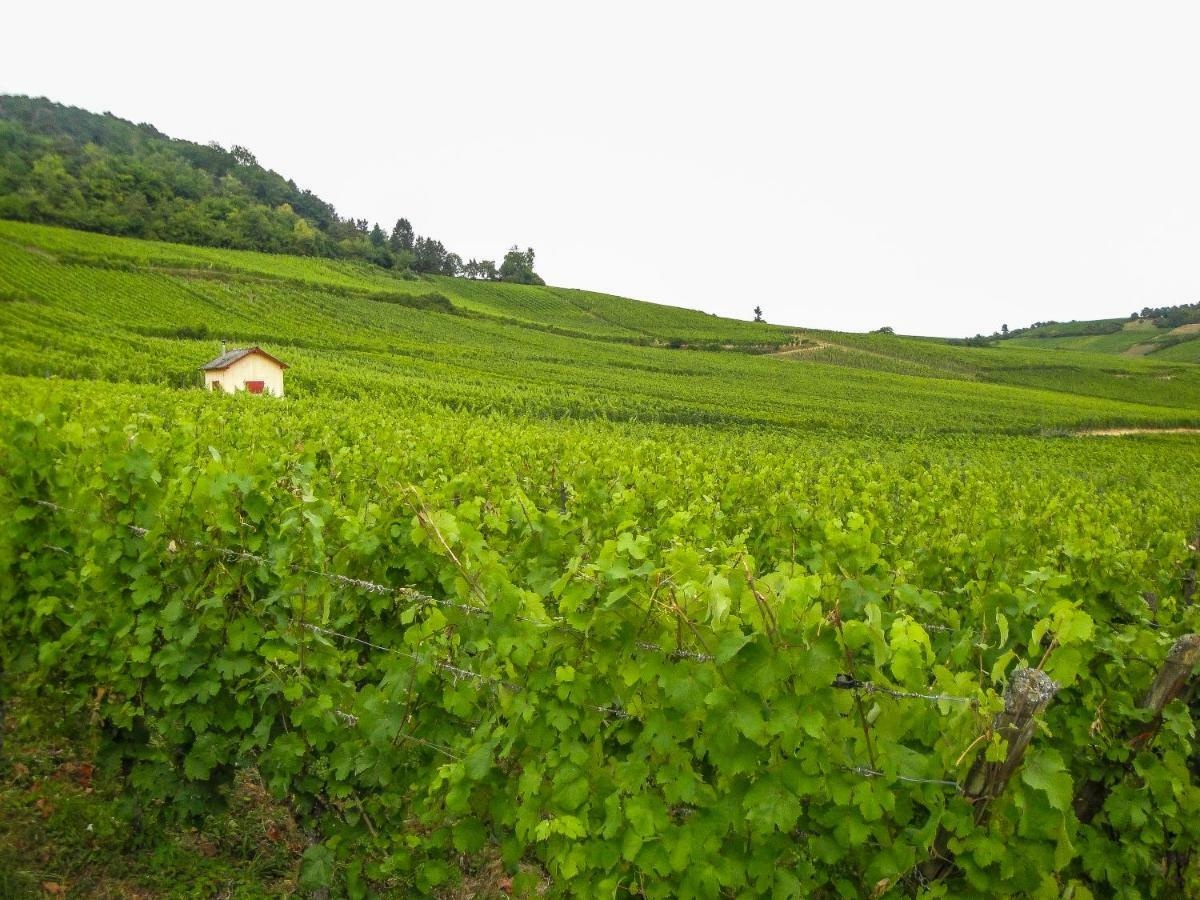 Gite Galerie Le 1892 Au Coeur Du Vignoble Ribeauvillé Esterno foto