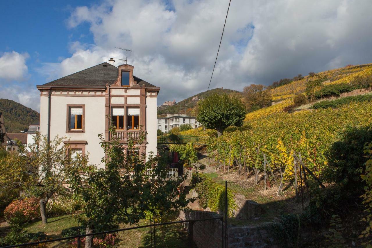 Gite Galerie Le 1892 Au Coeur Du Vignoble Ribeauvillé Esterno foto